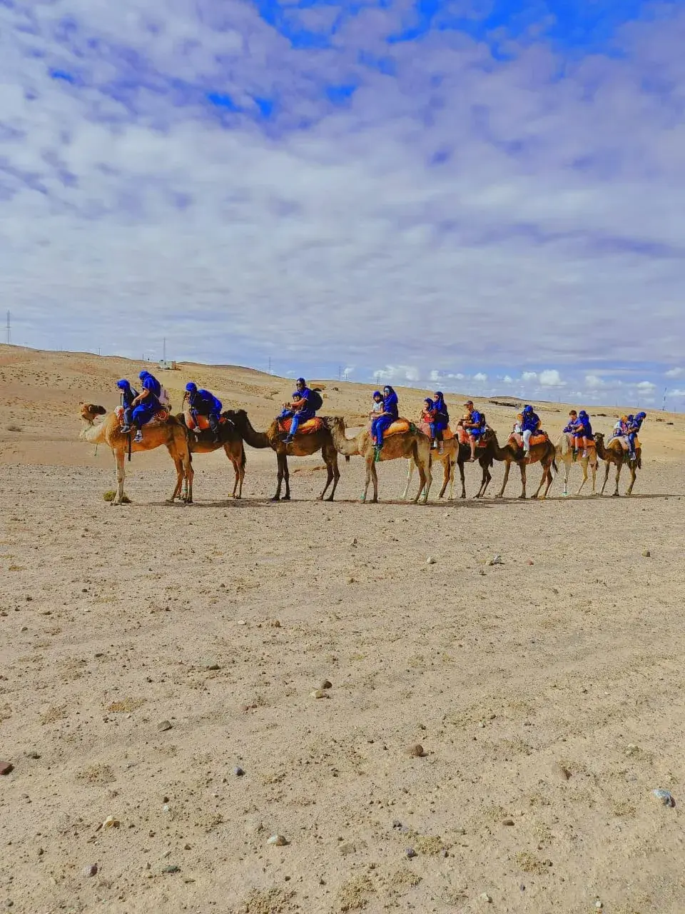 A camel caravan led by guides across the Agafay Desert