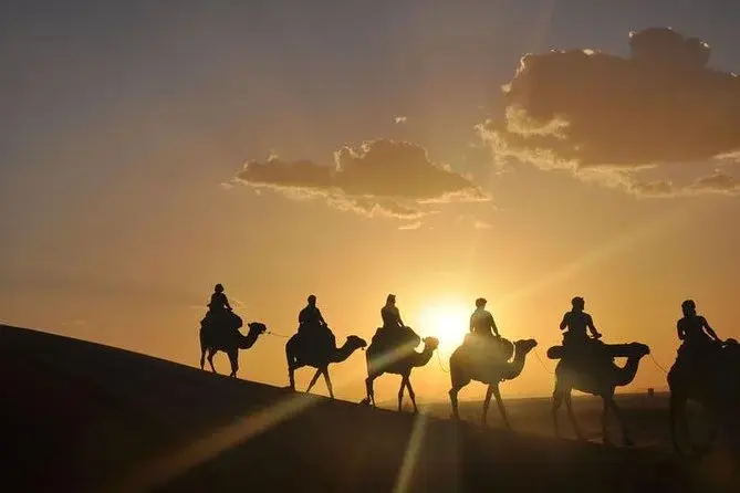 A camel caravan in silhouette against an orange sunset sky in Agafay